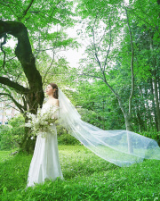 森の中で長いベールを風になびかせる花嫁の後ろ姿