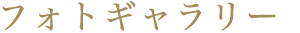 フォトギャラリー